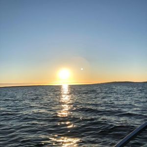 Meet your Posher, Peggy